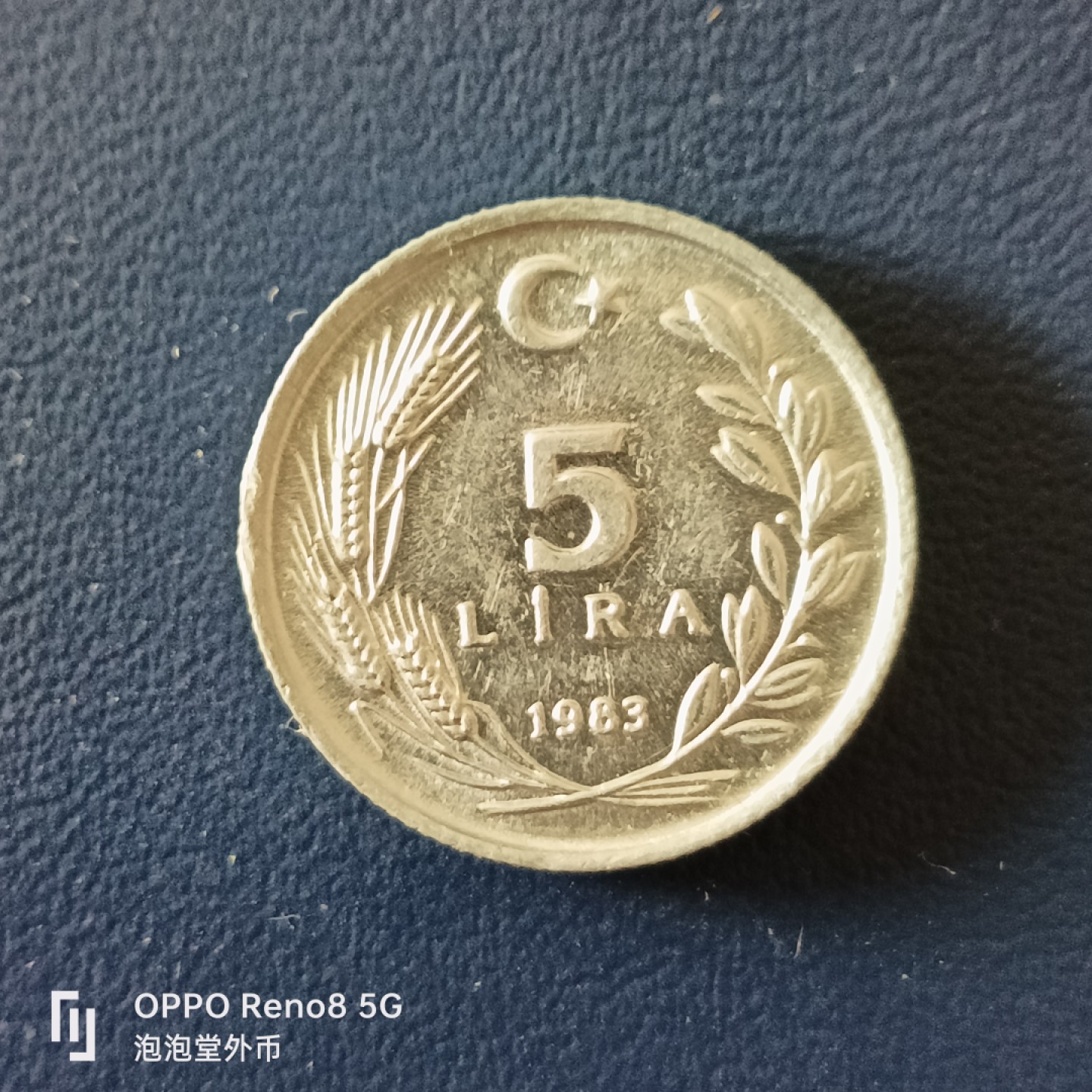 泡泡堂微拍第十五幕硬币，纸币，零佣金，零押金，满二十元包邮 少见土耳其骑马5里亚尔