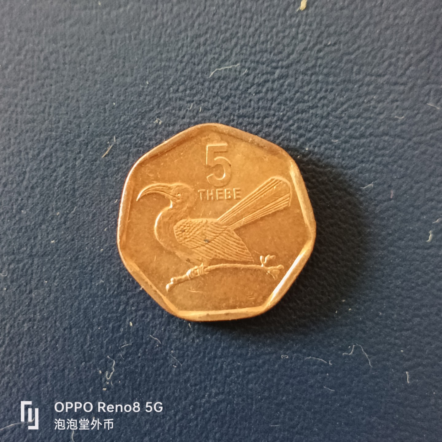 泡泡堂微拍第十五幕硬币，纸币，零佣金，零押金，满二十元包邮 全新博茨瓦纳五色西