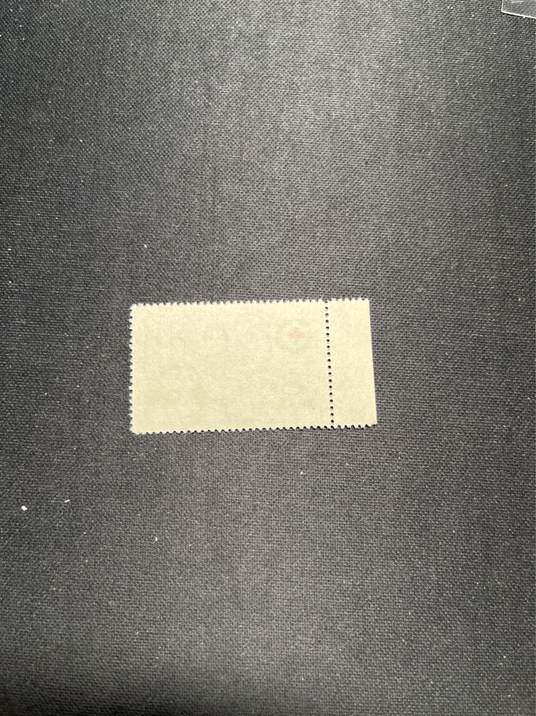 洪涛臻品 精选邮票限时拍卖第六十七期 纪31红十字协会盖销全品一枚，带边纸