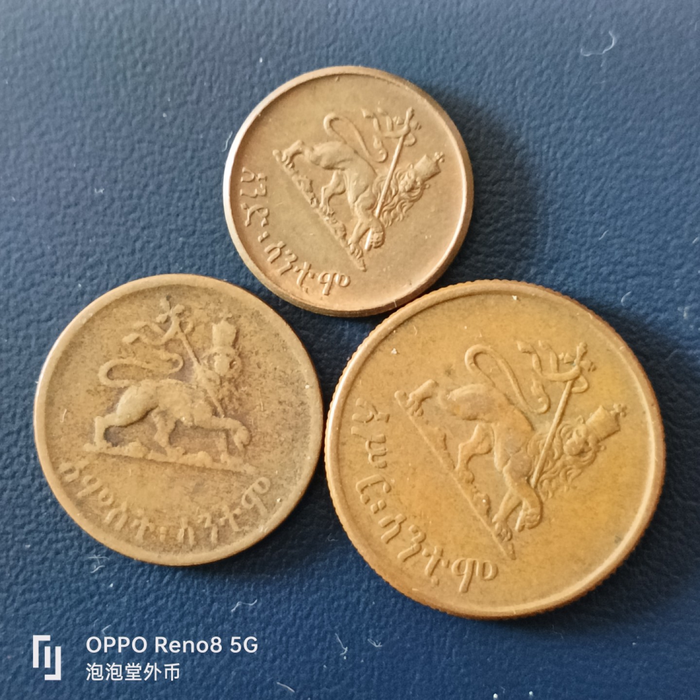 泡泡堂微拍第十五幕硬币，纸币，零佣金，零押金，满二十元包邮 埃塞俄比亚少见小狮子一套。