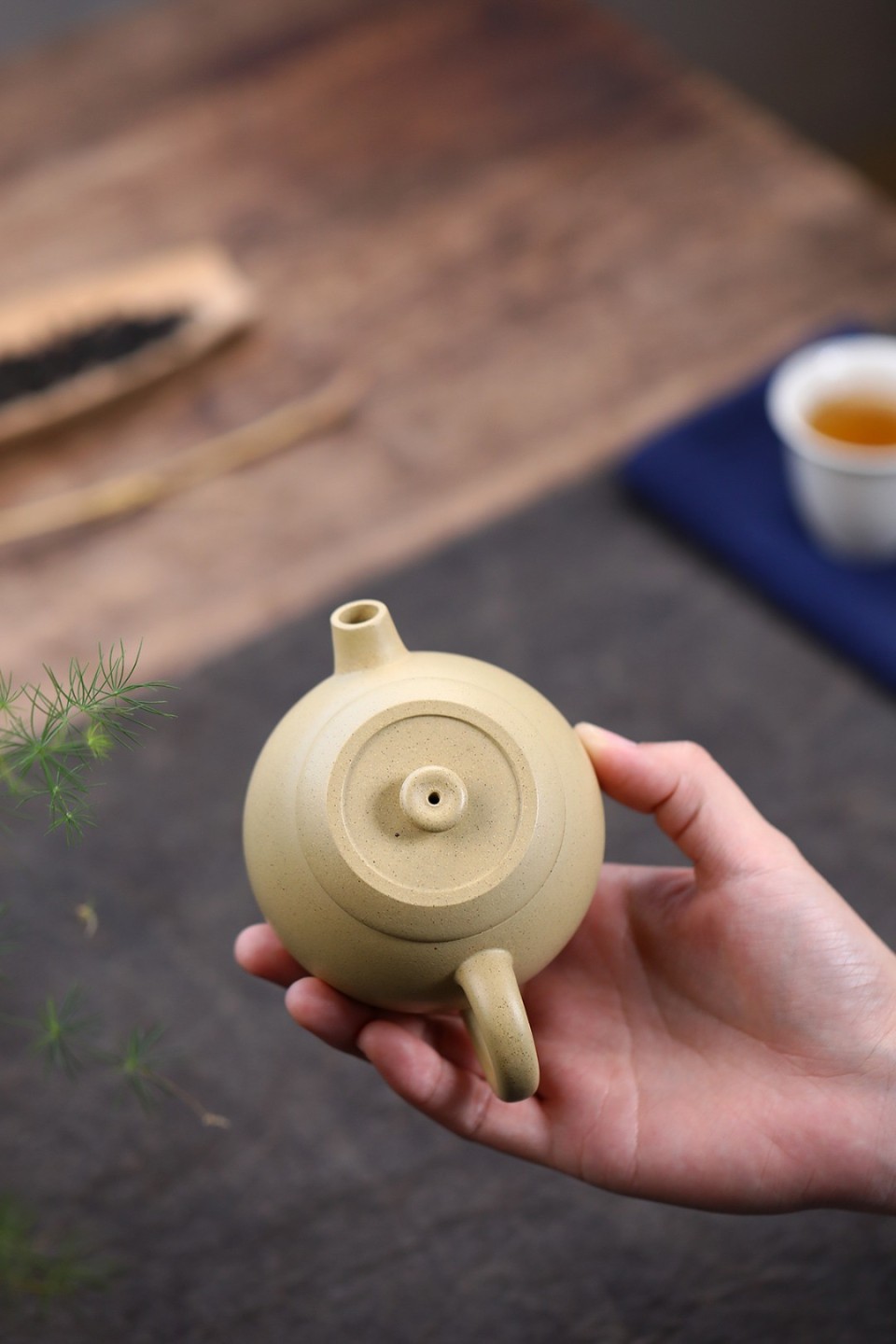正宗宜兴紫砂壶专拍场 圆珠