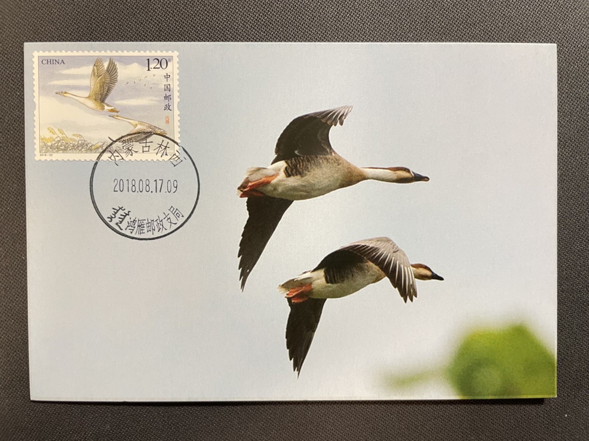 【第26期】莲池国际邮品拍卖