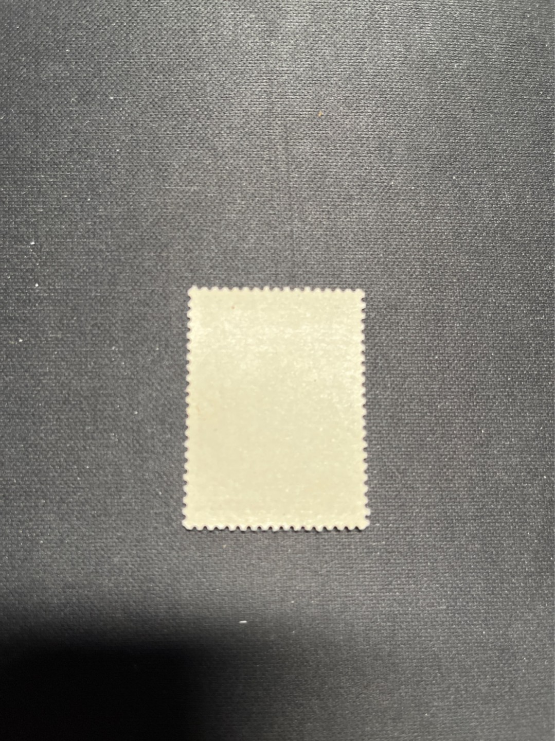 洪涛臻品 精选邮票限时拍卖第六十七期 纪93杜甫盖销 2-1一枚，版撕全品，面艳胶白  老纪特高价精品票，全品新票一套价格8000一样难求，盖销版撕精品值得珍惜，注意捡漏。《ASG评级处于初级阶段，趁便宜囤精品版撕票，后市不可估量》