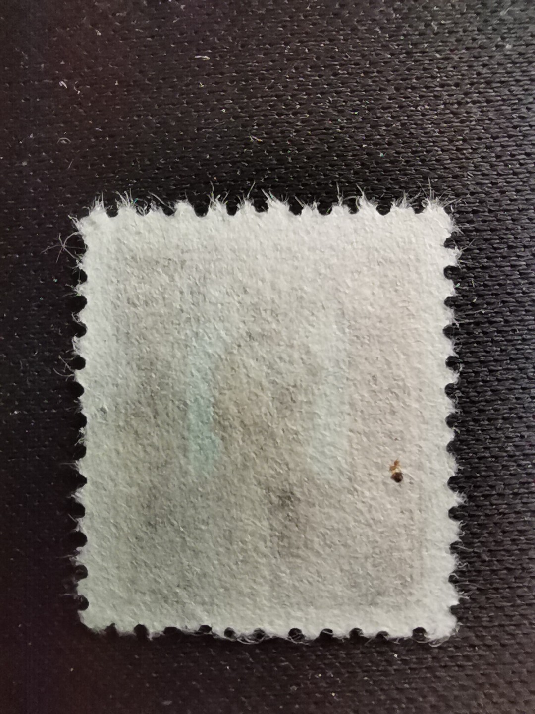 洪涛臻品 精选邮票限时拍卖第六十七期 东北解放区区票, 毛主席像邮票, 4500元面值！该品种,且如此好品相的💝已难寻觅! 明年是主席的诞辰,市场到处在涨价收购主席邮票, 机会不要错过！