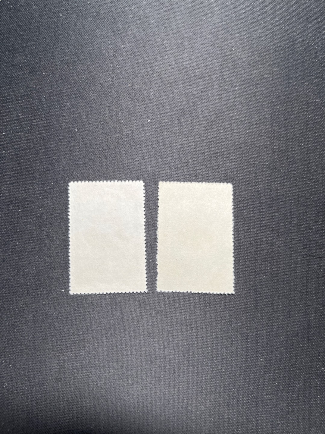 洪涛臻品 精选邮票限时拍卖第六十七期 纪22马克思新全  几乎全品  无明显瑕疵