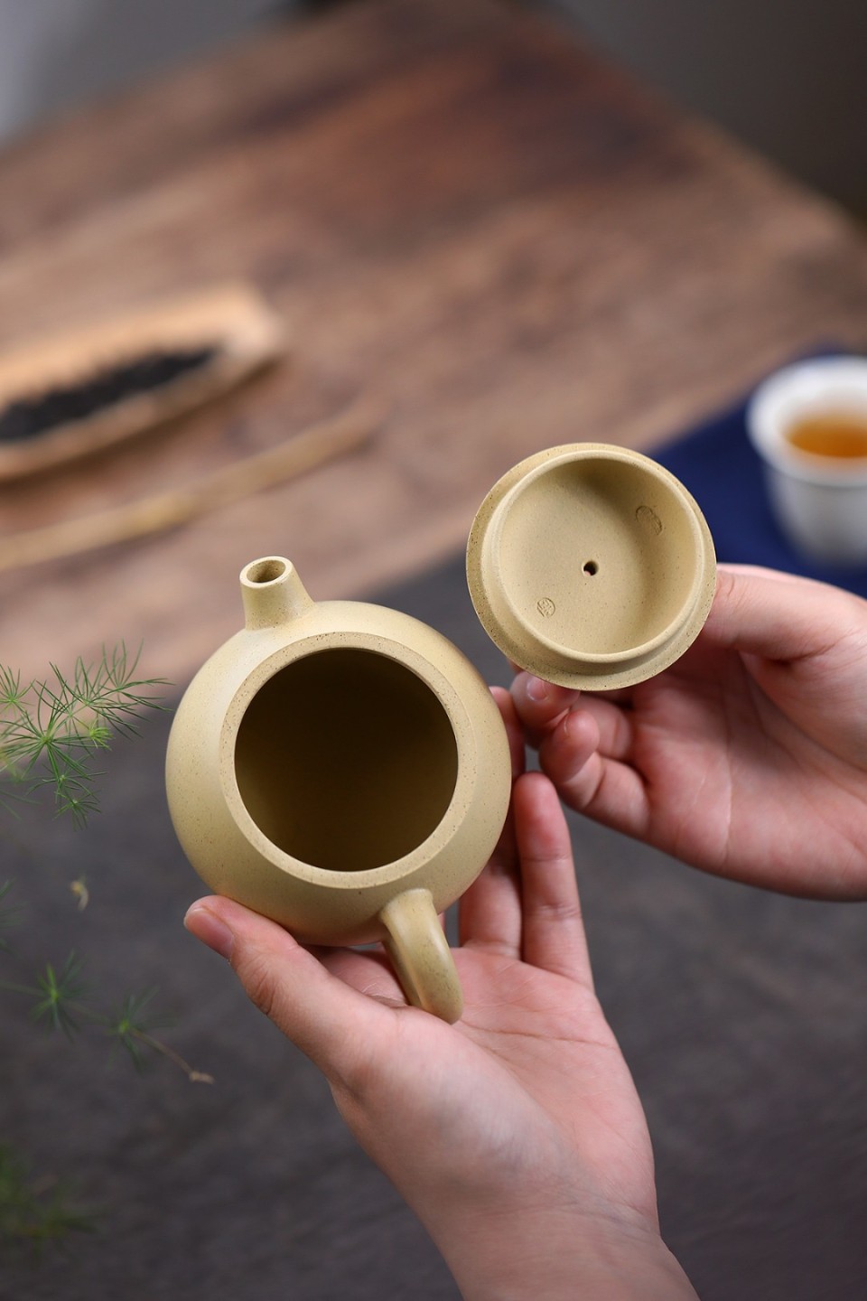 正宗宜兴紫砂壶专拍场 圆珠