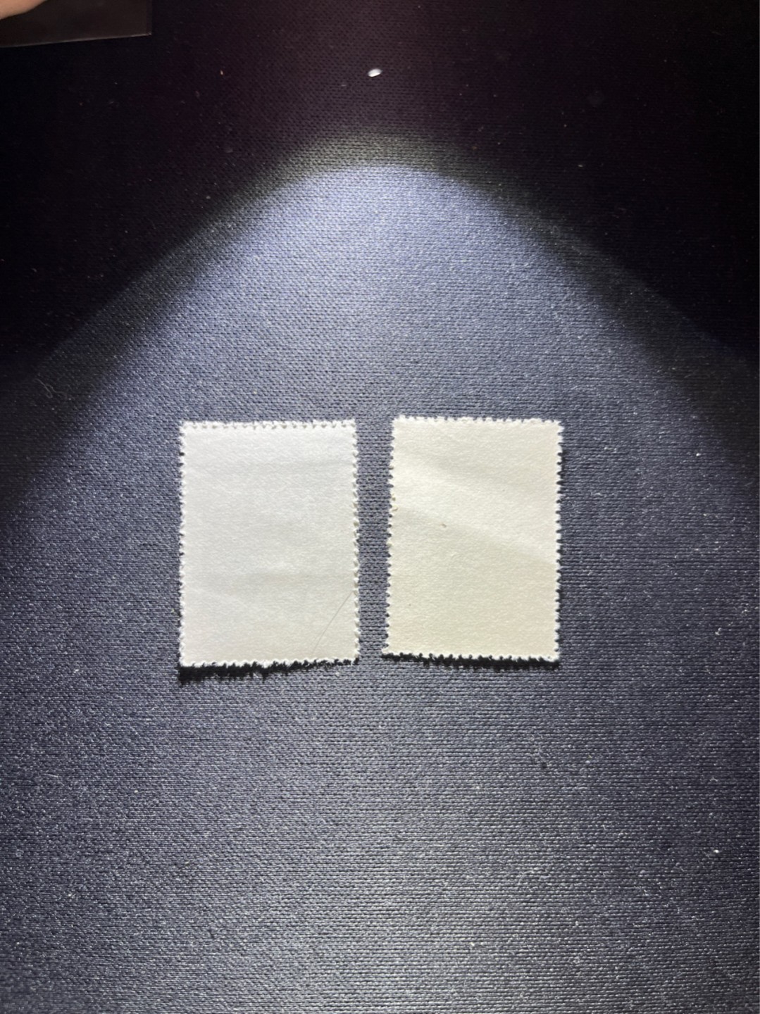 洪涛臻品 精选邮票限时拍卖第六十八期 纪14儿童新全 上品软折 处理一下就是全品