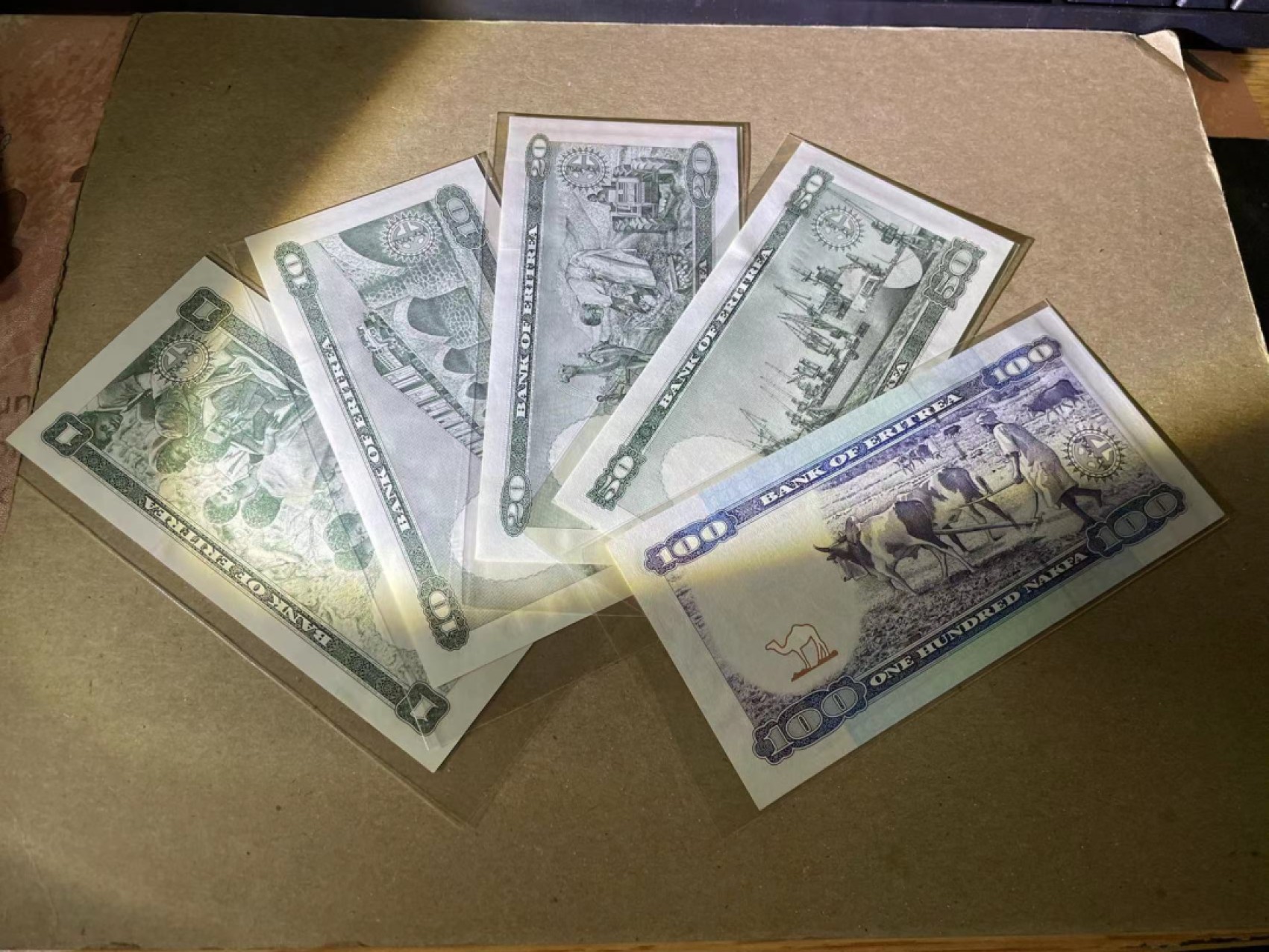 【Blue Auction】✨世界纸币精拍第243期——小双十一专场  【一组5张】厄尔特里亚 1-100Nakfa 一组 全新UNC