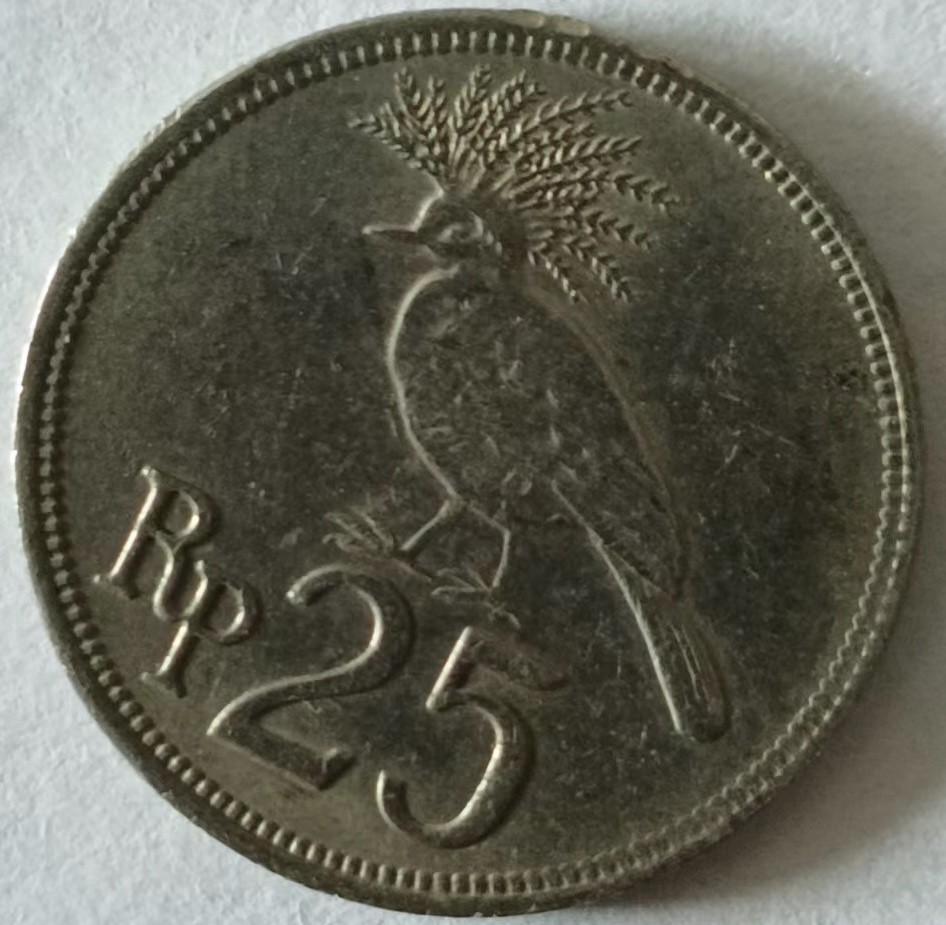 泡泡堂第132期  世界硬币专场（无押金，无佣金，捡漏，全场20包邮，偏远地区除外） 印尼25卢比