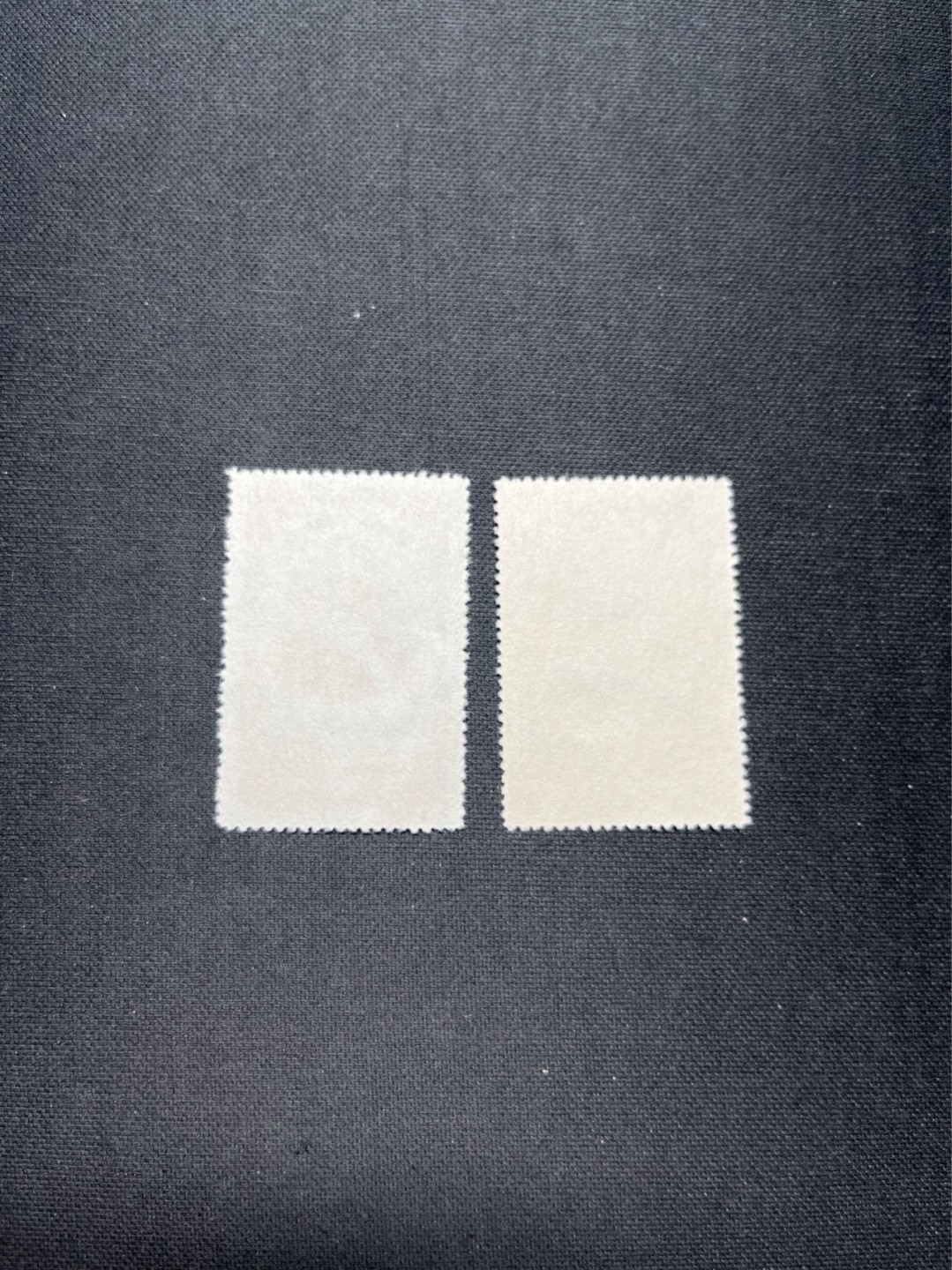 洪涛臻品 精选邮票限时拍卖第六十八期 纪22马克思新全  几乎全品 看不出任何瑕疵