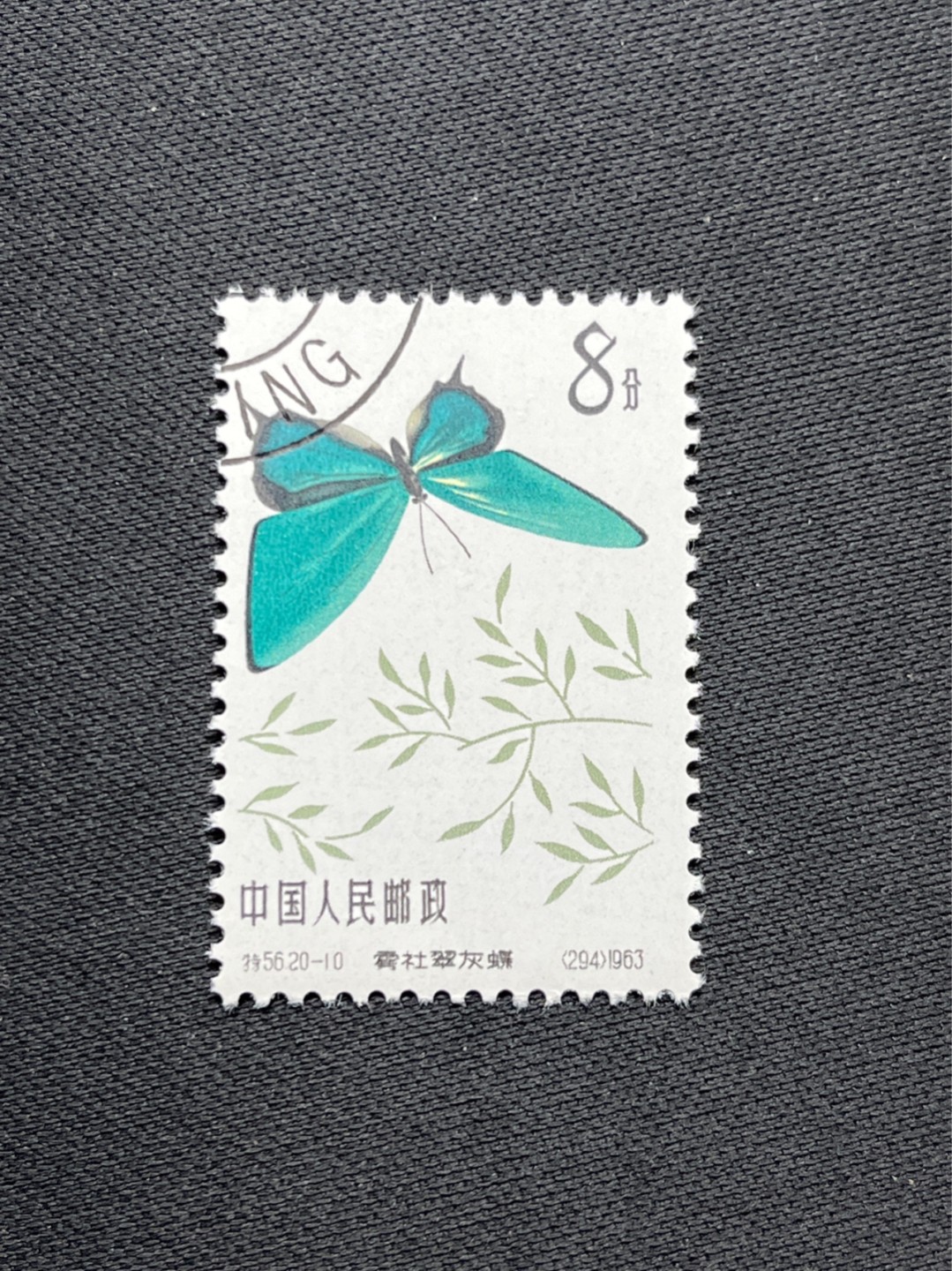 洪涛臻品 精选邮票限时拍卖第六十九期 特56蝴蝶盖销  全品 20-10一枚★六珍三俗稀缺货★版撕全品嘎嘎绝，钢戳，面艳胶白，六珍之一，非常受欢迎的品种，新票价格高，盖销全品不要错过 
