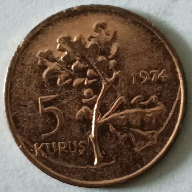 泡泡堂第133期  世界硬币专场（无押金，无佣金，捡漏，全场20包邮，偏远地区除外） 土耳其1974年5库鲁