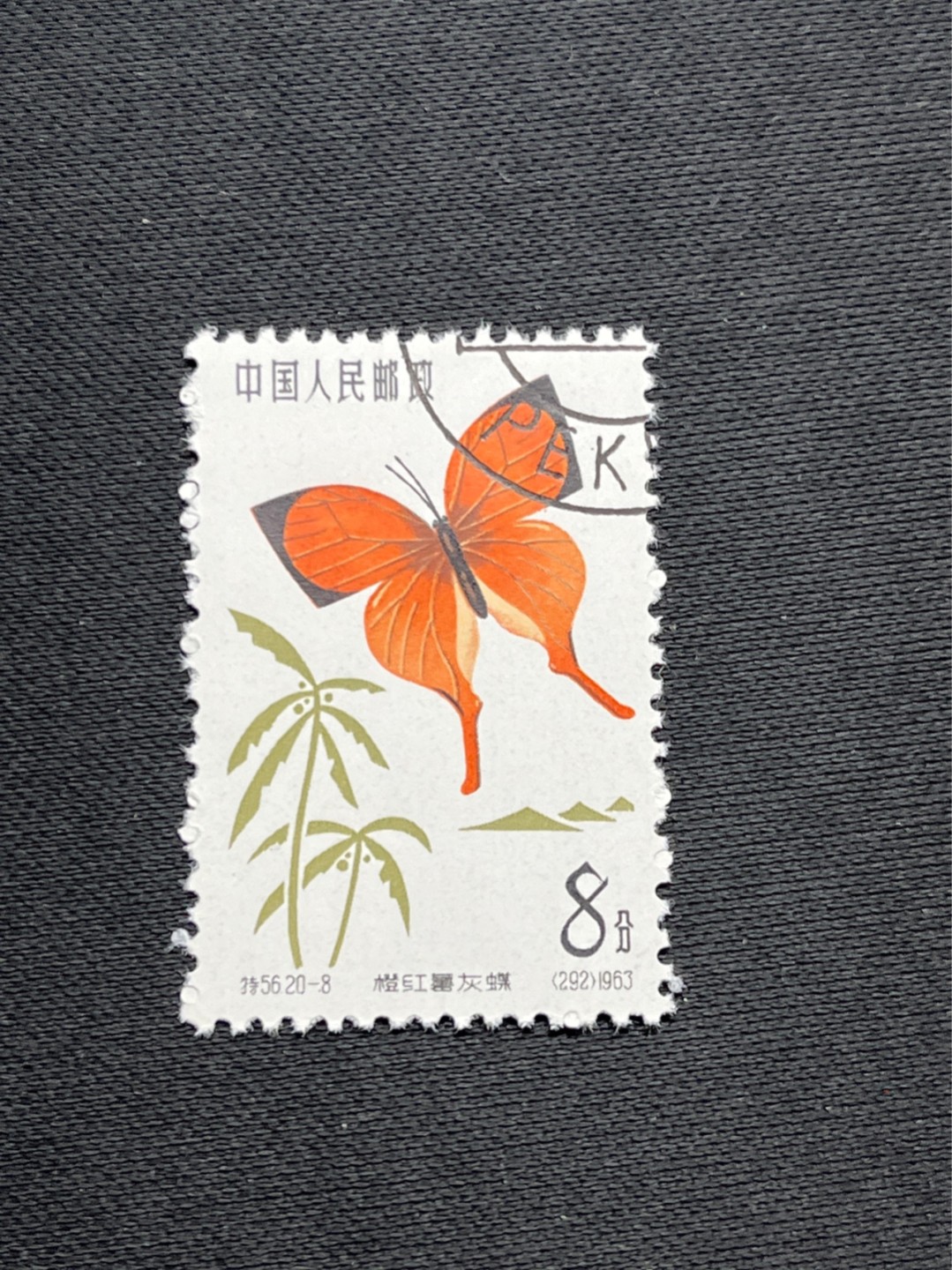 洪涛臻品 精选邮票限时拍卖第六十九期 特56蝴蝶盖销  全品 20-8一枚★六珍三俗稀缺货★版撕全品嘎嘎绝，钢戳，面艳胶白，六珍之一，非常受欢迎的品种，新票价格高，盖销全品不要错过 