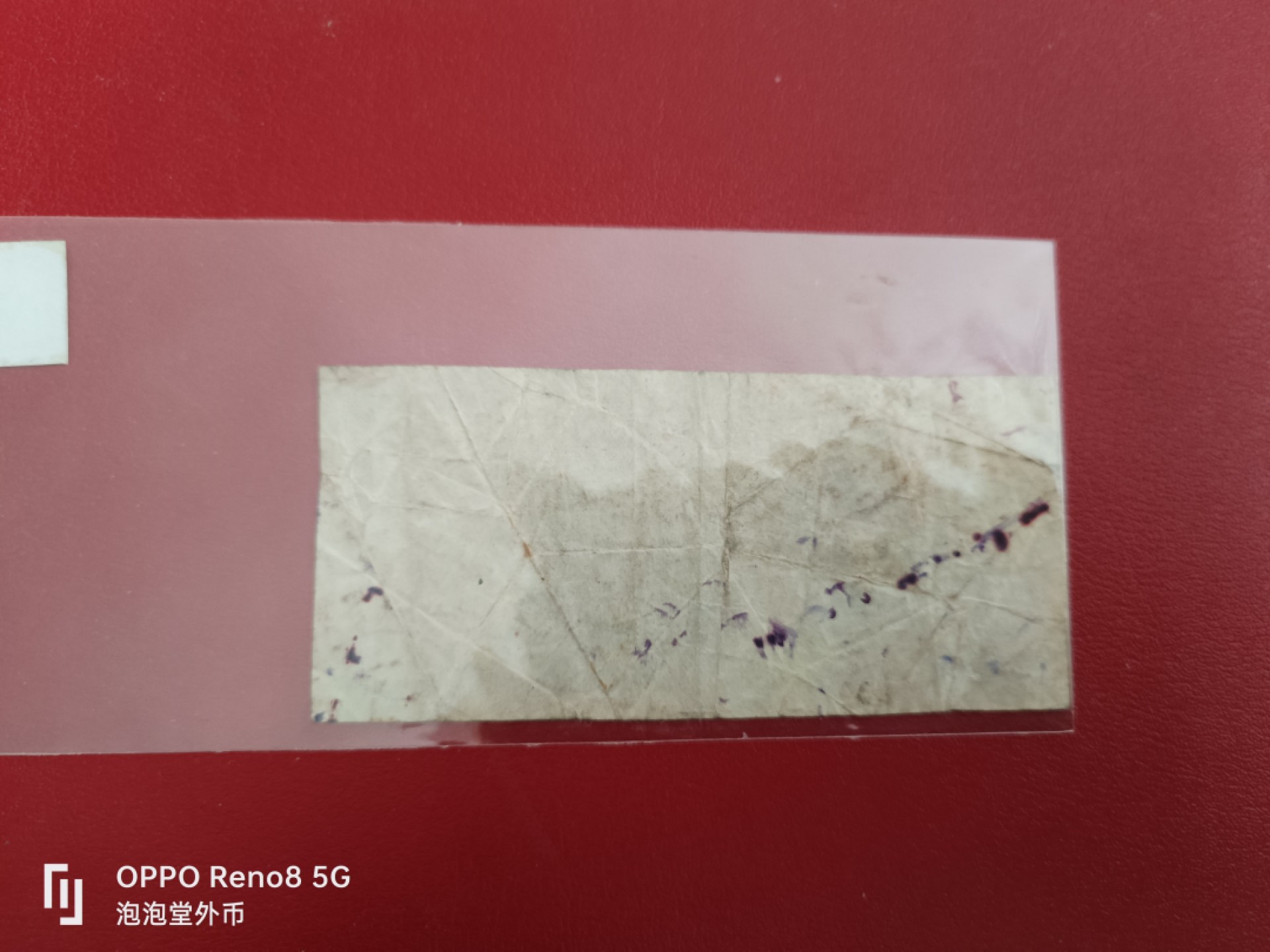 泡泡堂微拍第十七幕精品纸币专场👿👿，零佣金，零押金，满二十元包邮 香港男头老一分