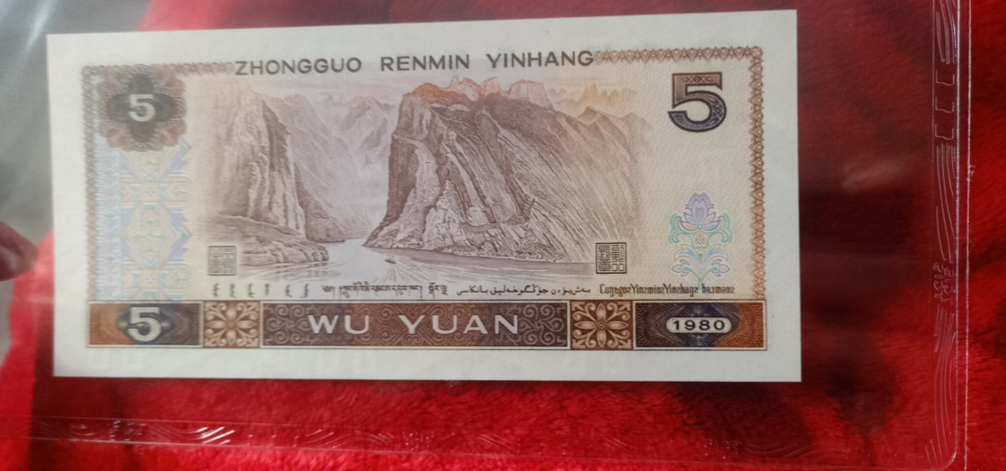 小英开心拍第623期 805红光蓝鹤一张，天印评级权威认证