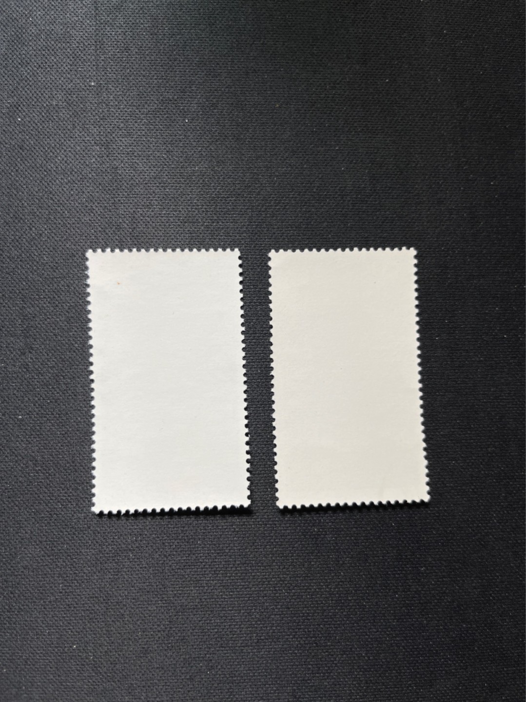 洪涛臻品 精选邮票限时拍卖第六十九期 特68新安江4-24-3两枚盖销，★品相可以用完美来形容，版撕全品嘎嘎绝 背胶雪白。解放初的经典票，整版撕开，面艳胶白，票挺洁净，齿孔完美。老纪特的版票资源十分稀缺难寻，机会来临时必须抓住。