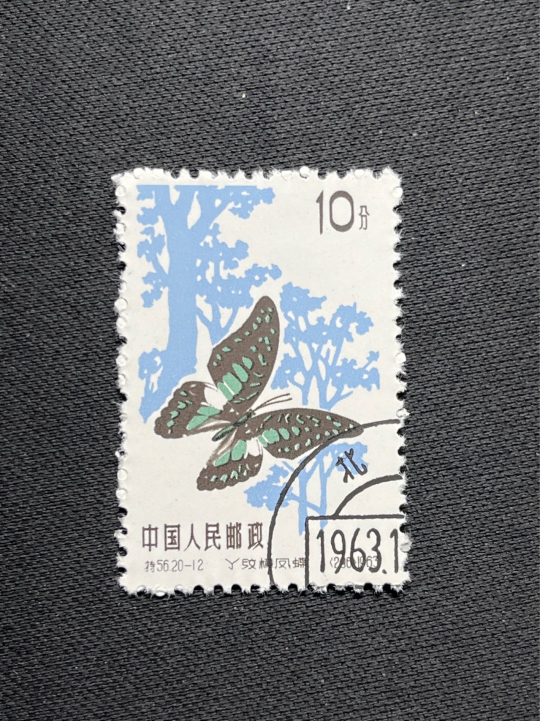 洪涛臻品 精选邮票限时拍卖第六十九期 特56蝴蝶盖销  全勤 20-12一枚，★六珍三俗稀缺货★版撕全品嘎嘎绝，钢戳，面艳胶白，六珍之一，非常受欢迎的品种，新票价格高，盖销全品不要错过 