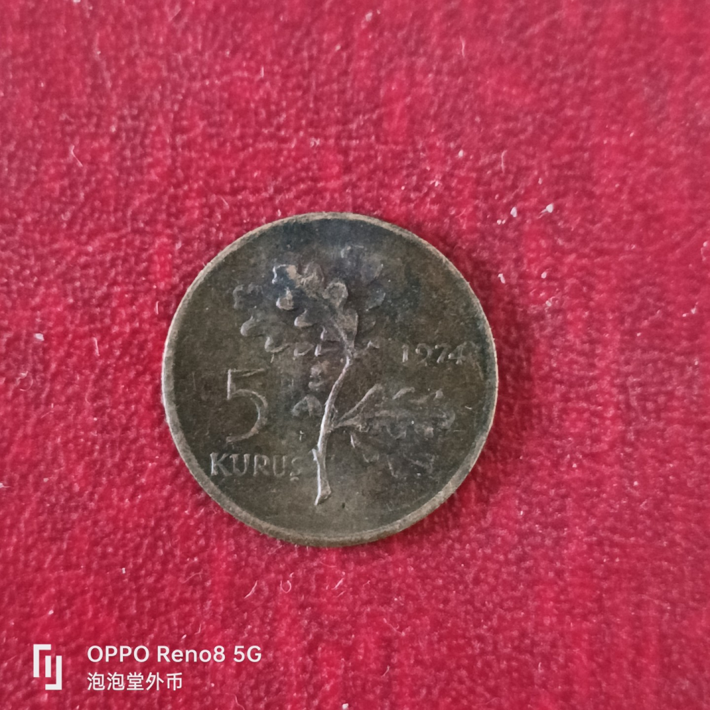 泡泡堂微拍第十八幕精品硬币专场👿👿，零佣金，零押金，满二十元包邮 土耳其七四年五库鲁。