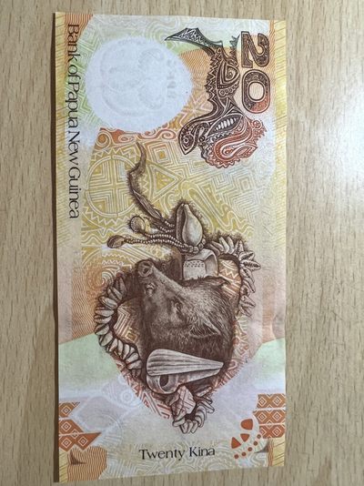 banknote mall 第六期 - UNC新几内亚纸币20，非常有特色