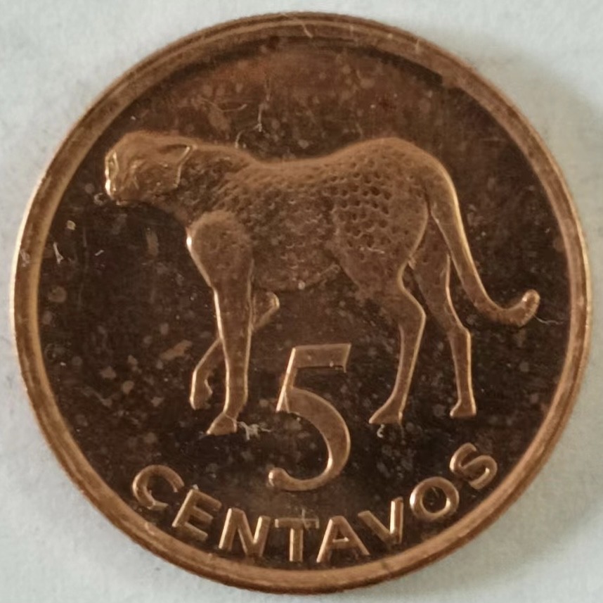 泡泡堂第149期  世界硬币专场（无押金，无佣金，捡漏，全场20包邮，偏远地区除外） 莫桑比克5分