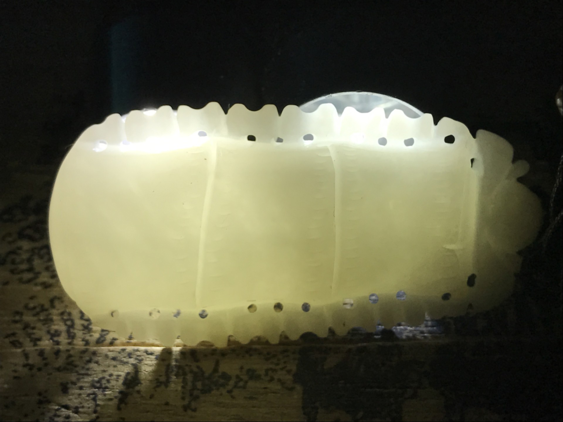 精品高玉化贝化玉雕刻竹节大吊坠（把件）一个，
