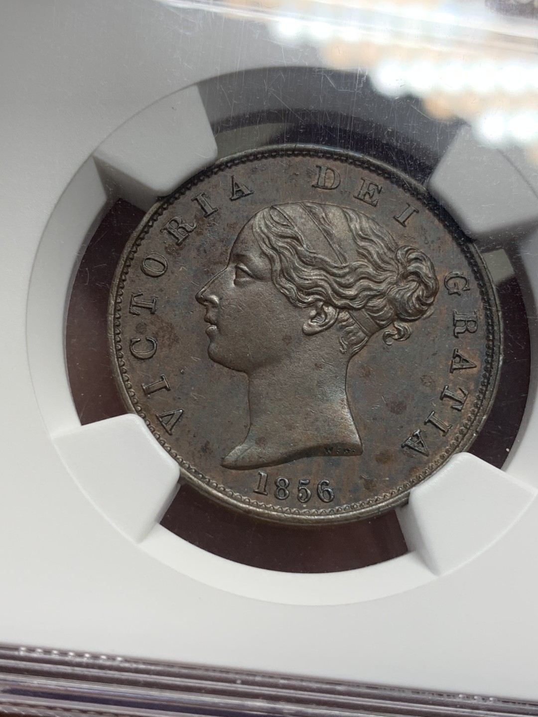 《竞宝斋》第111场-周日，周一 ，2场连拍（全场包邮） NGC UNCD  1856  英国维多利亚女王1/2便士 细节比很多63的都要好，性价比极好