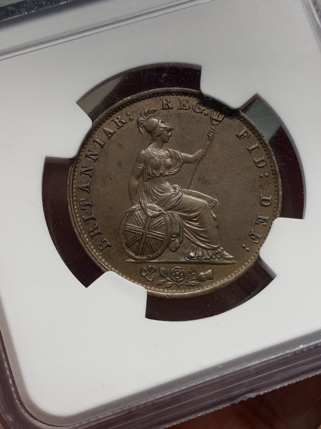 《竞宝斋》第111场-周日，周一 ，2场连拍（全场包邮） NGC UNCD  1856  英国维多利亚女王1/2便士 细节比很多63的都要好，性价比极好