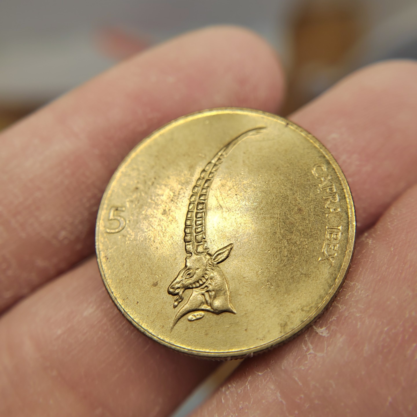 王之爱好～外国钱币 1993年，5元，斯洛文尼亚铜币