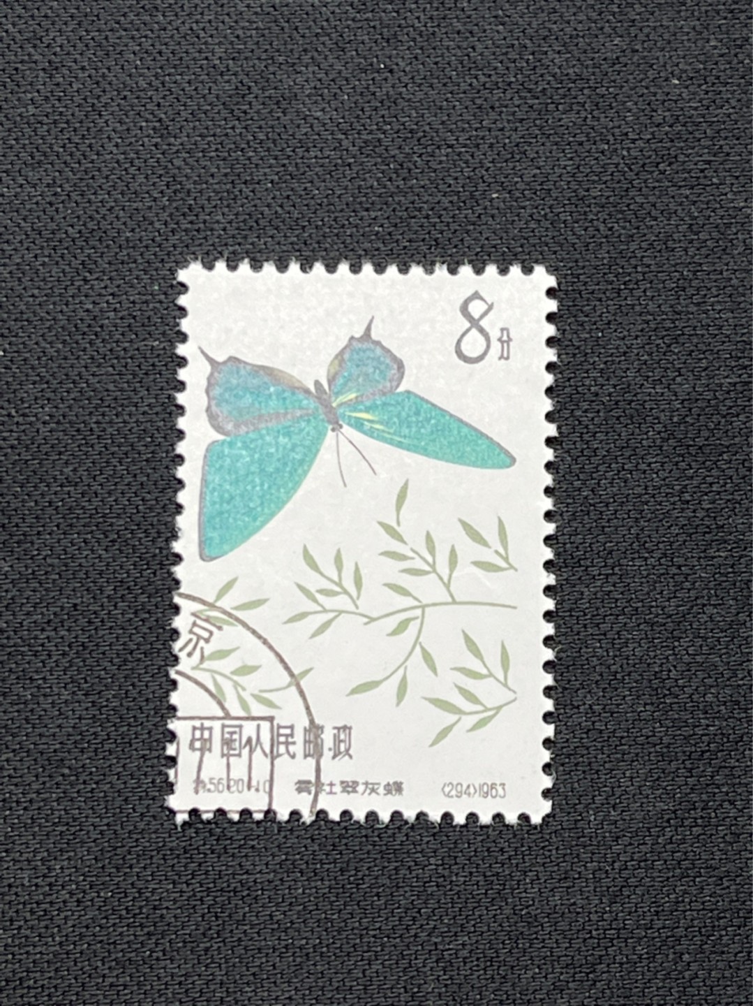 洪涛臻品 精选邮票限时拍卖第七十期 特56蝴蝶盖销  钢戳，全品 20-10一枚★六珍三俗稀缺货★版撕全品嘎嘎绝，钢戳，面艳胶白，六珍之一，非常受欢迎的品种，新票价格高，盖销全品不要错过 