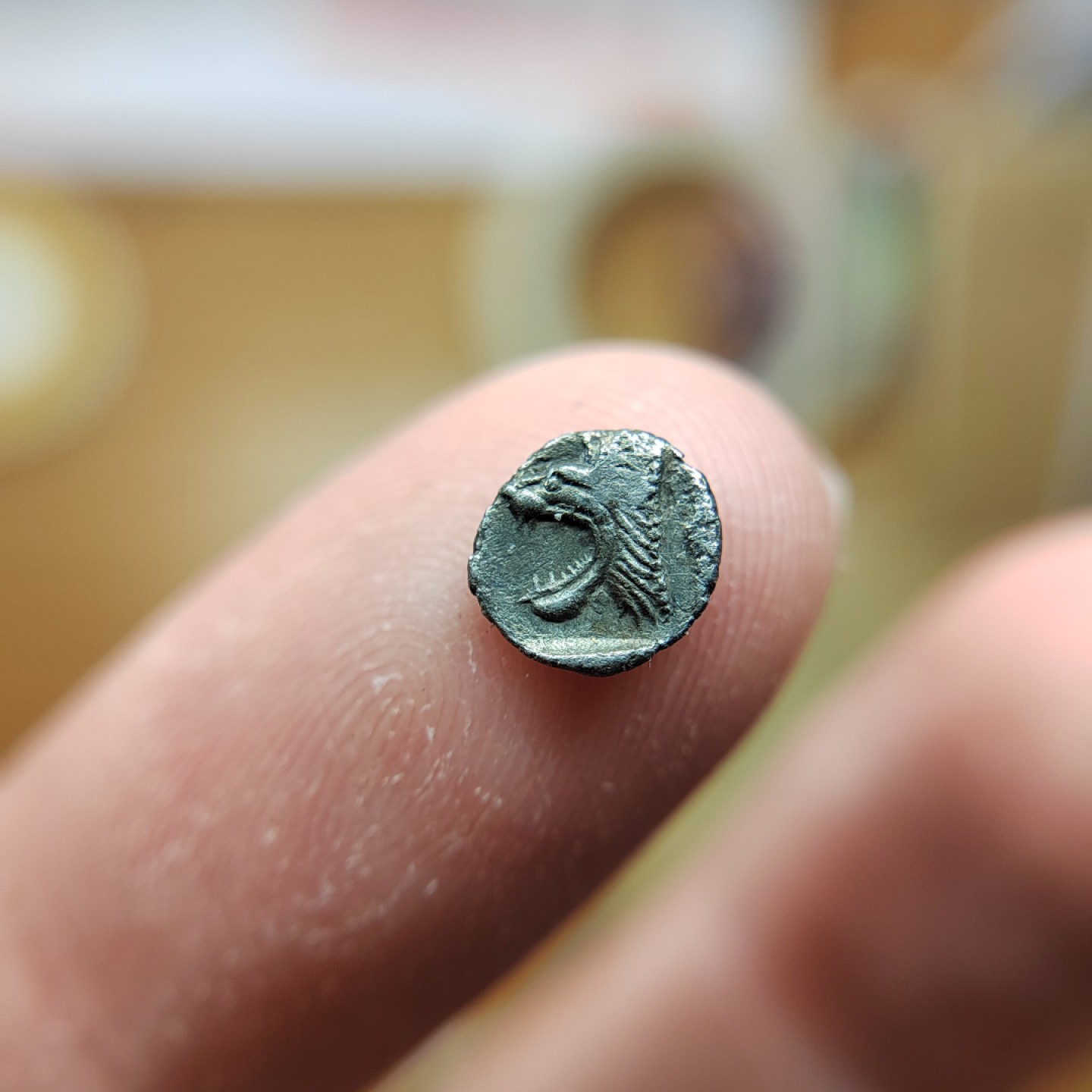 王之爱好～外国钱币 古希腊咆哮狮子银币