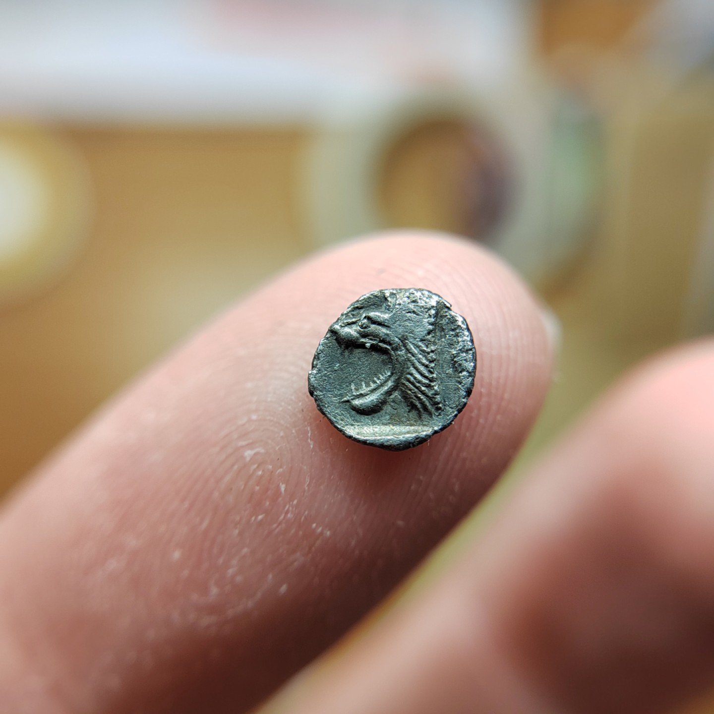 王之爱好～外国钱币 古希腊咆哮狮子银币