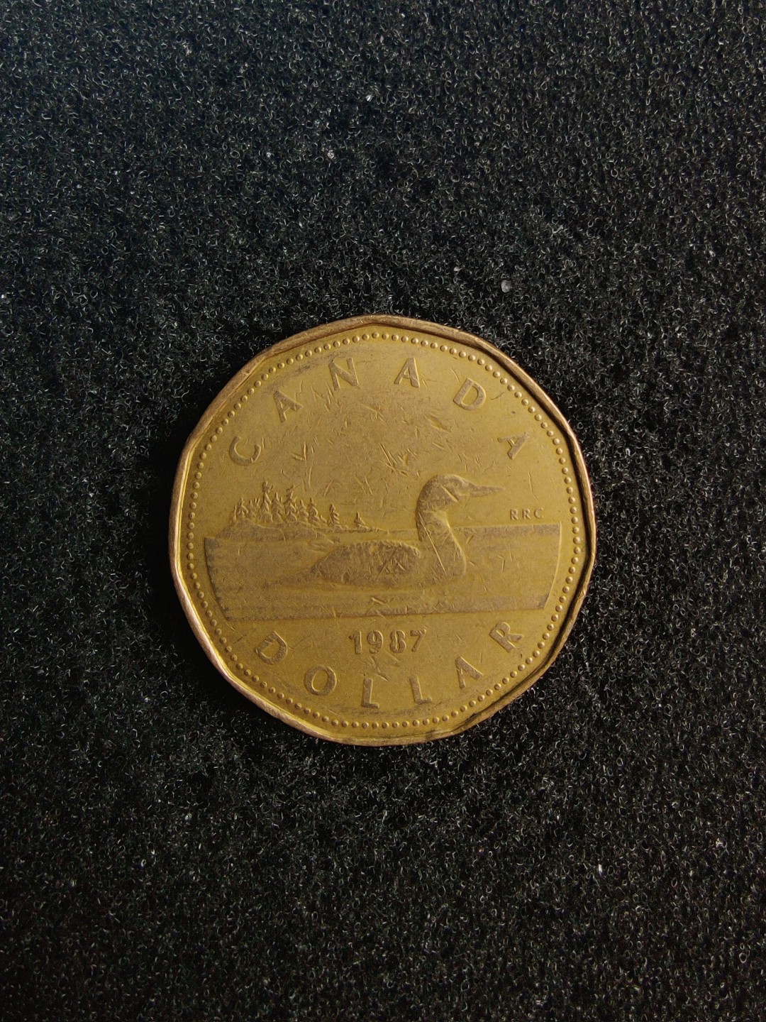 ♥一只鱼（世界钱币第七期） 加拿大1加元