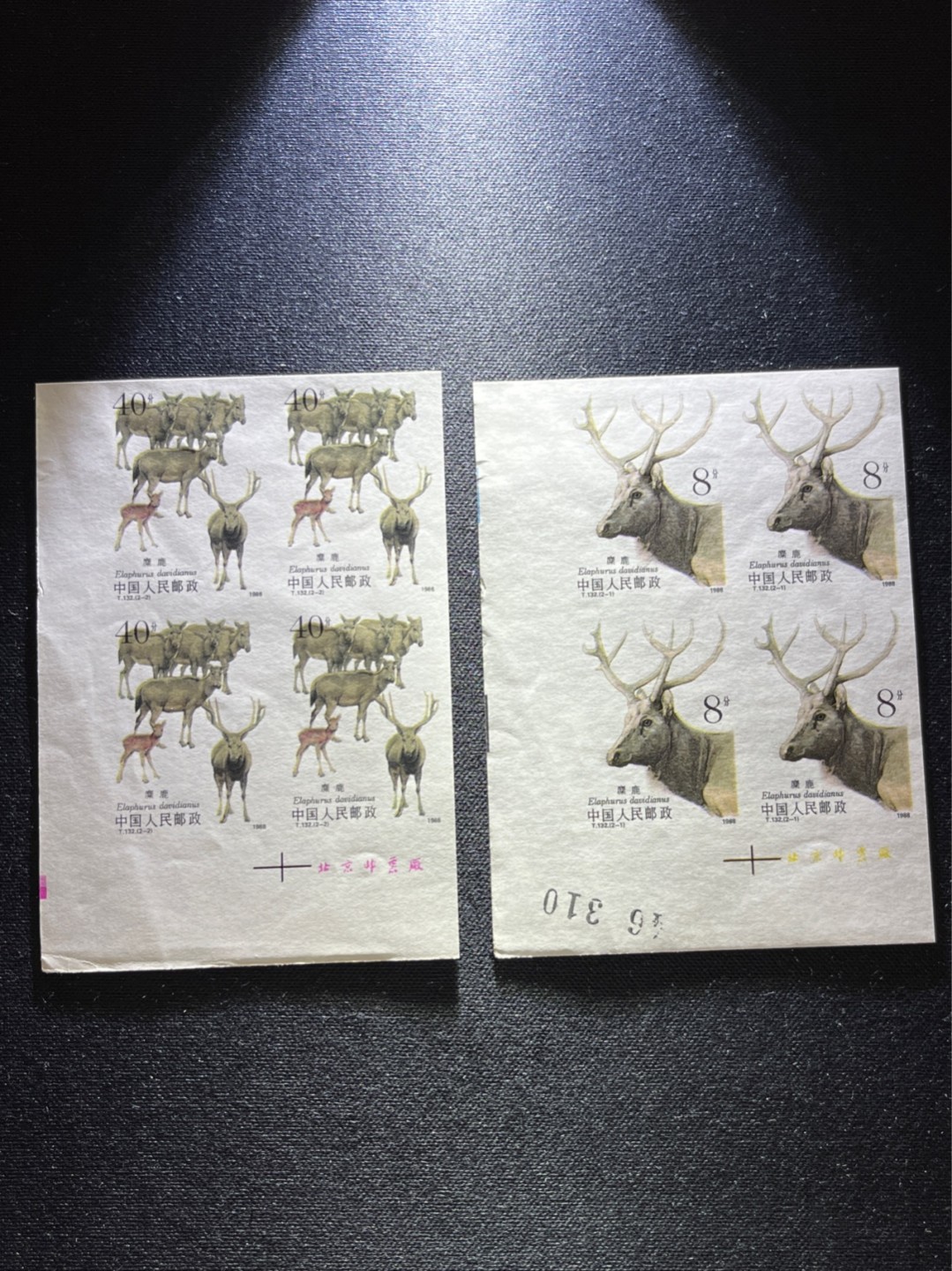 洪涛臻品 精选邮票限时拍卖第七十四期 T132无齿麋鹿新全    厂名➕数字4方连一组 ，软折如图，上品，紫光灯下有瑕疵。精品版货  精工细裁 ，全程带硅胶手套操作，喜欢的老板不要错过