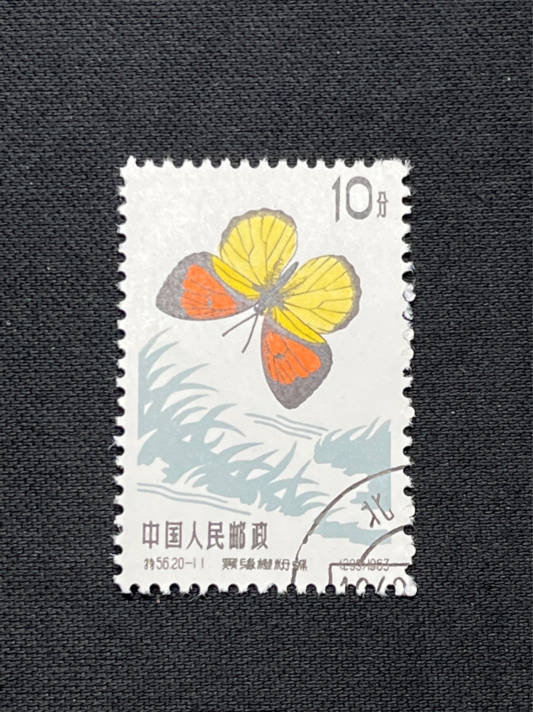洪涛臻品 精选邮票限时拍卖第七十期 特56蝴蝶盖销  钢戳，全品 20-11一枚★六珍三俗稀缺货★版撕全品嘎嘎绝，钢戳，面艳胶白，六珍之一，非常受欢迎的品种，新票价格高，盖销全品不要错过 