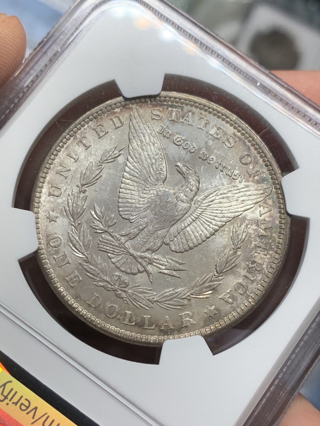 《竞宝斋》第112场-周日，周一 ，2场连拍（全场包邮） NGC-MS64 1889摩根银币 绒布盒保存产生的环彩包浆 状态完胜64白币