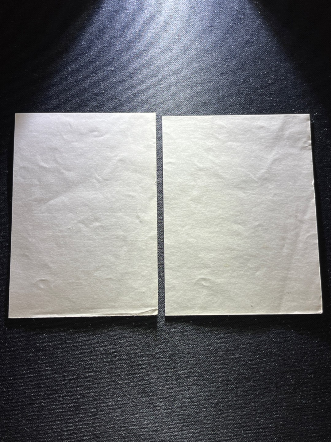 洪涛臻品 精选邮票限时拍卖第七十四期 T132无齿麋鹿新全    厂名➕数字4方连一组 ，软折如图，上品，紫光灯下有瑕疵。精品版货  精工细裁 ，全程带硅胶手套操作，喜欢的老板不要错过