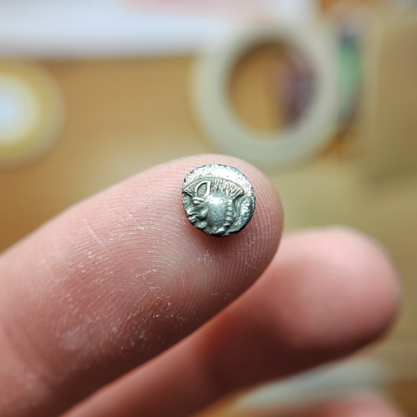 王之爱好～外国钱币 古希腊咆哮狮子银币