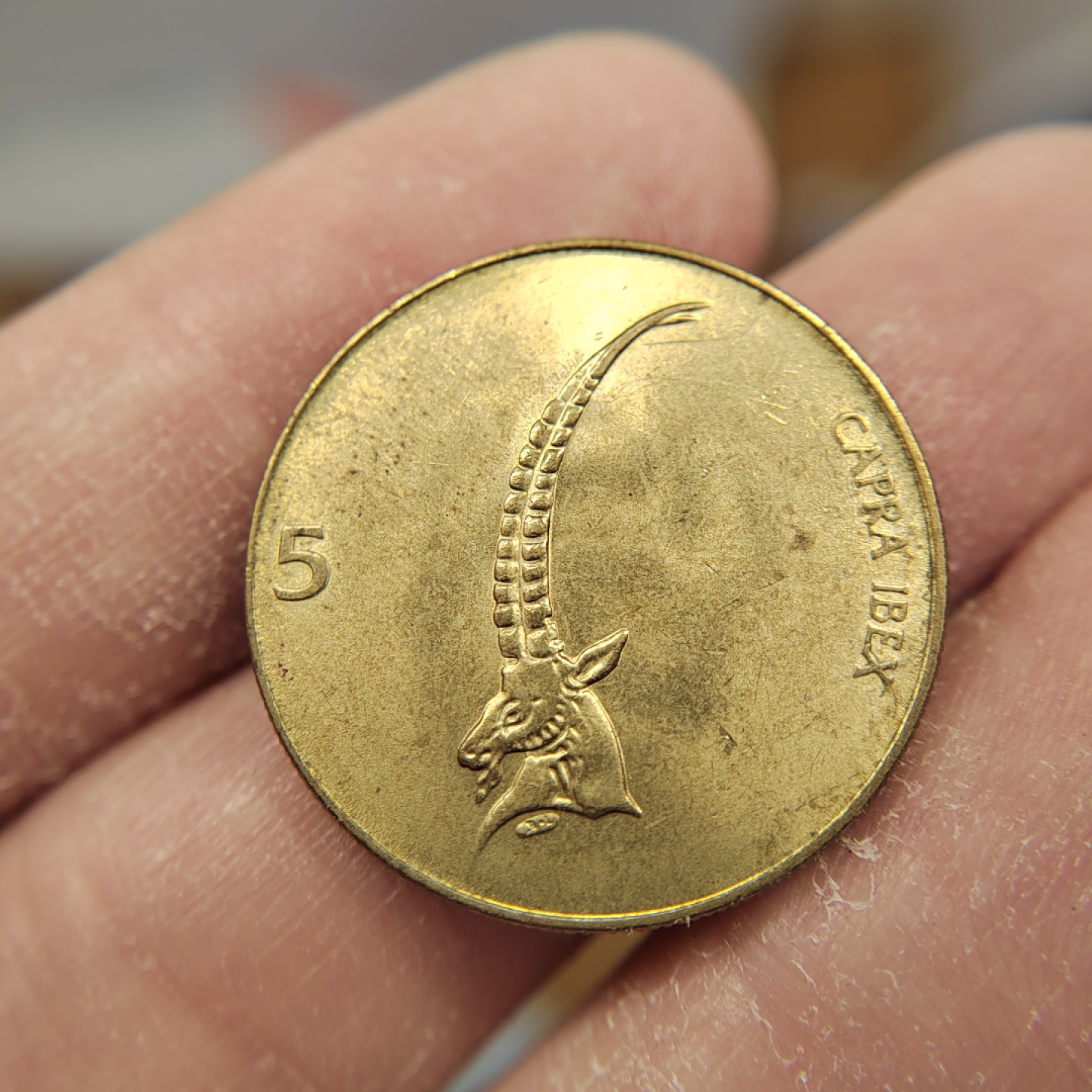 王之爱好～外国钱币 1993年，5元，斯洛文尼亚铜币