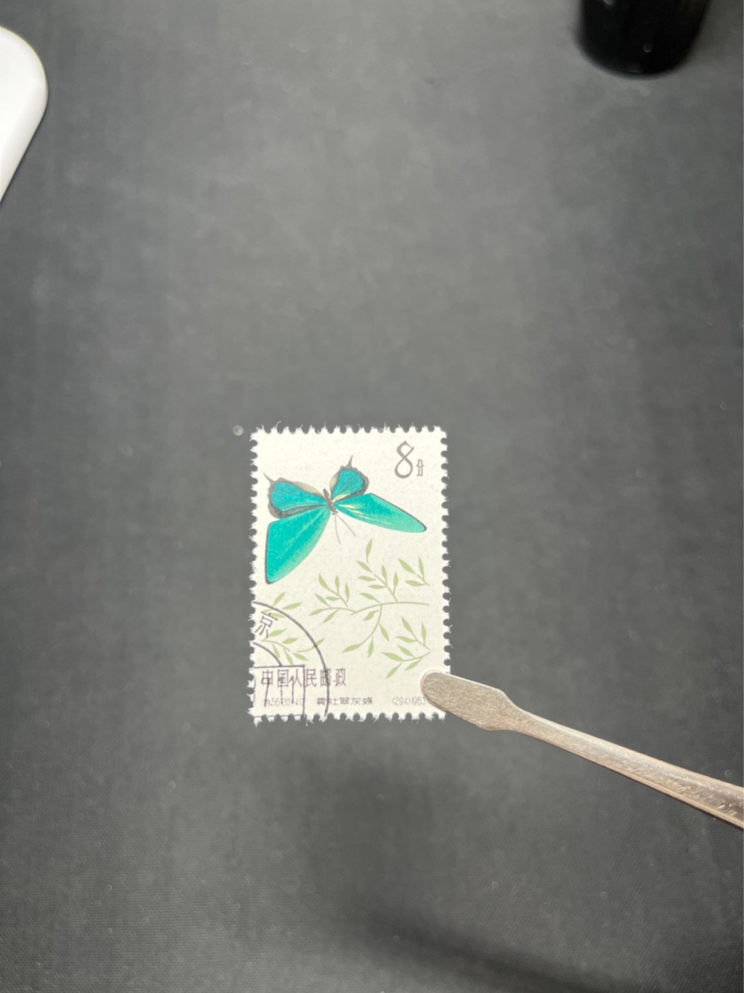 洪涛臻品 精选邮票限时拍卖第七十期 特56蝴蝶盖销  钢戳，全品 20-10一枚★六珍三俗稀缺货★版撕全品嘎嘎绝，钢戳，面艳胶白，六珍之一，非常受欢迎的品种，新票价格高，盖销全品不要错过 