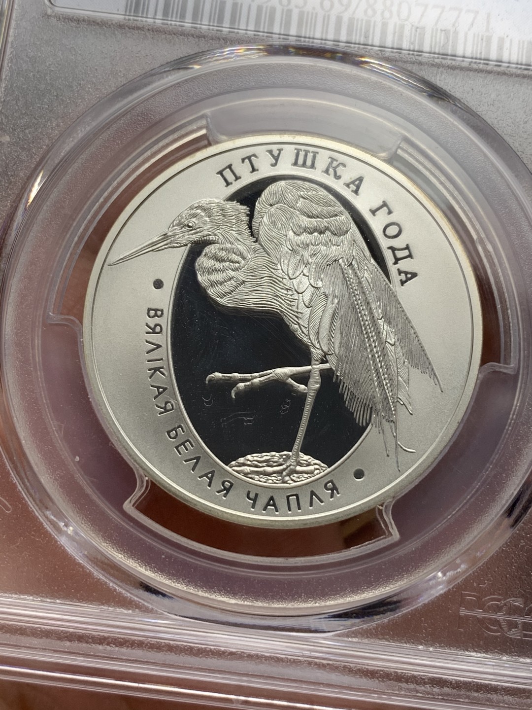 《竞宝斋》第112场-周日，周一 ，2场连拍（全场包邮） PCGS PR69DCAM 白俄罗斯2008年10卢布精制银币