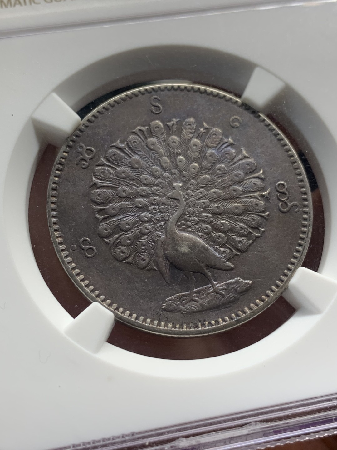 《竞宝斋》第112场-周日，周一 ，2场连拍（全场包邮） NGC-AU50 缅甸1852年孔雀Kyat 银币 酱黑彩 给分真的不易