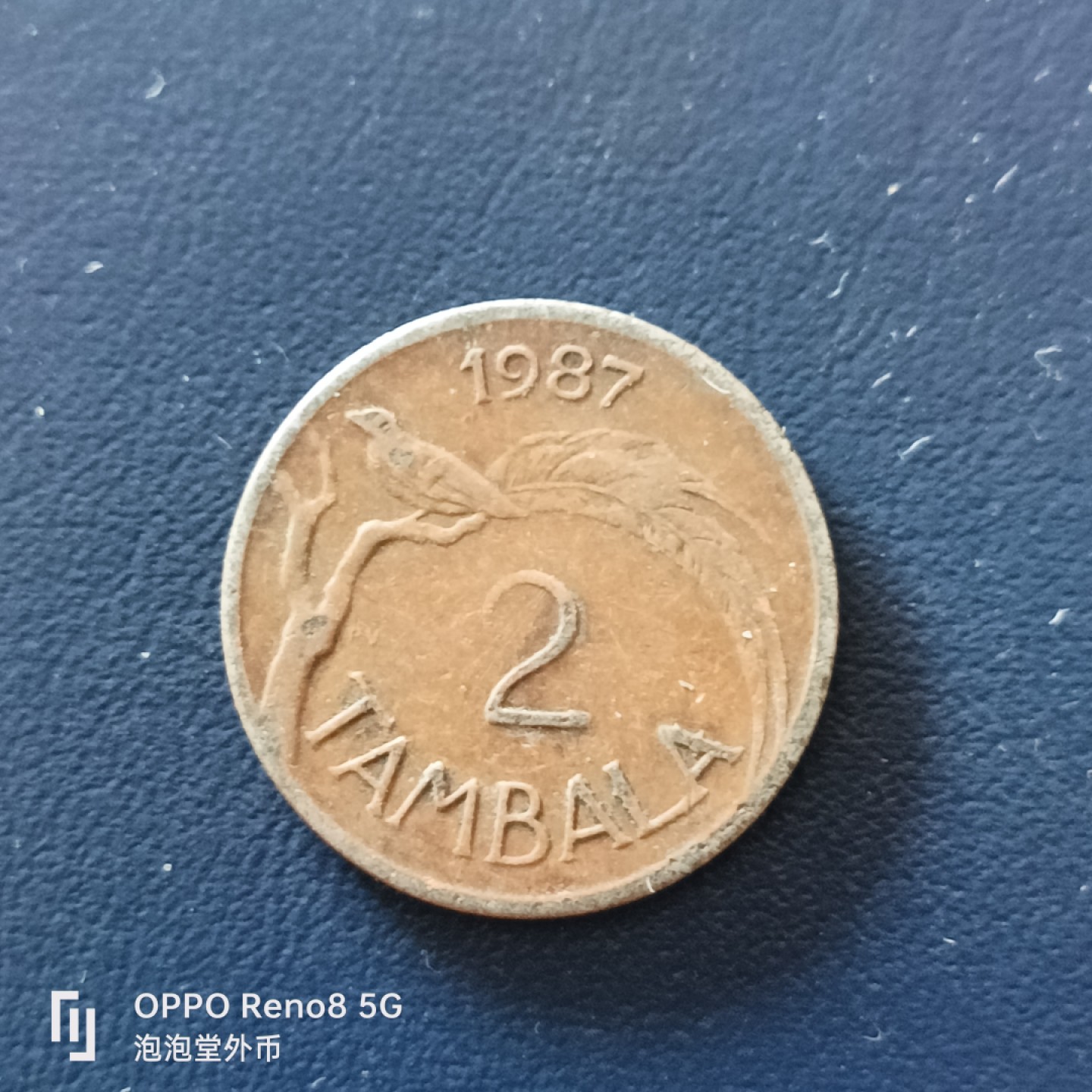 泡泡堂微拍第十九幕精品硬币专场👿👿，零佣金，零押金，满二十元包邮 马拉维八七年2泰巴拉。