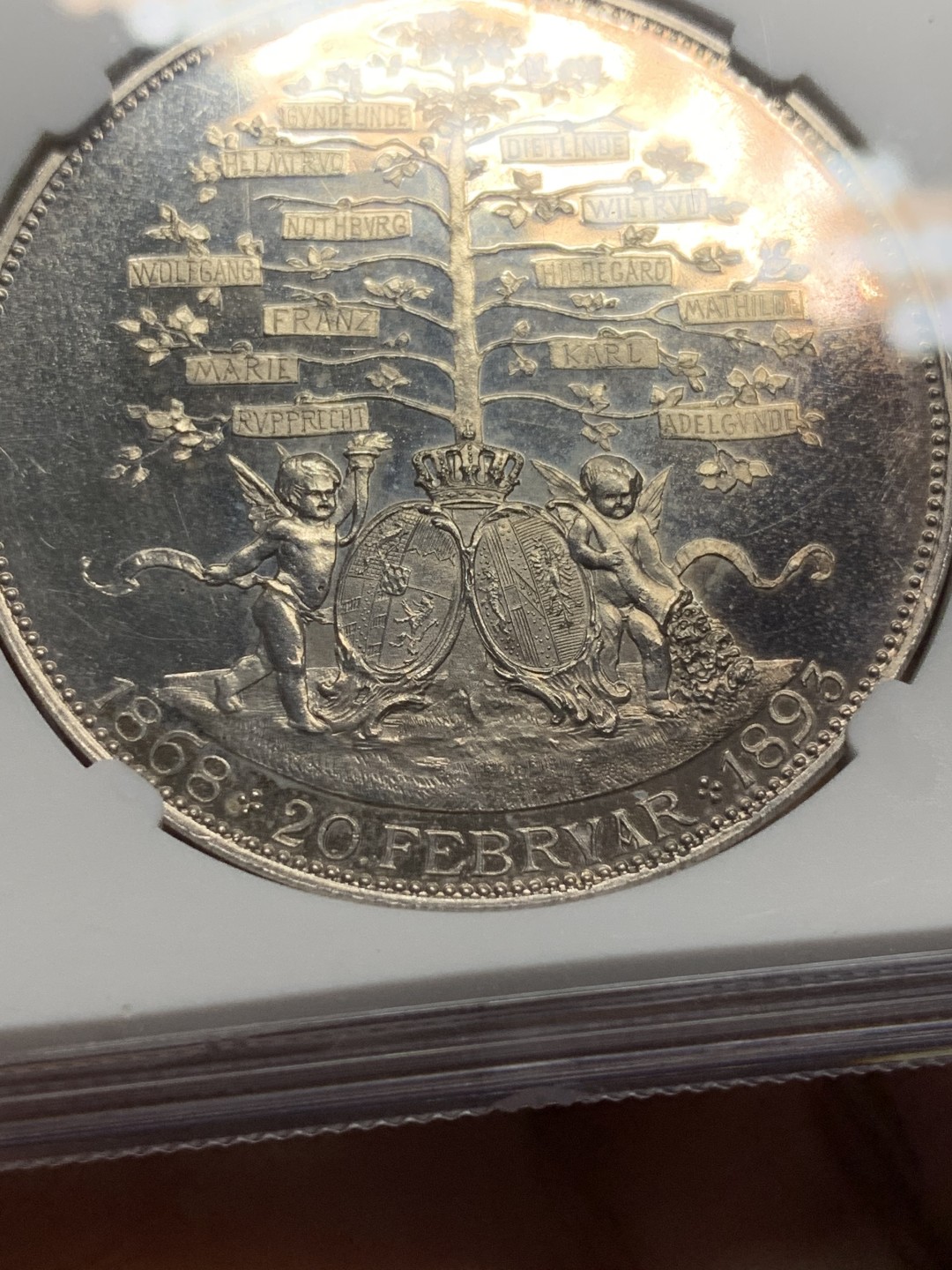 《竞宝斋》第112场-周日，周一 ，2场连拍（全场包邮） NGC-MS61 德国1893年拜仁路德维希家族子孙树 大规格银章 镜面工艺严重压分