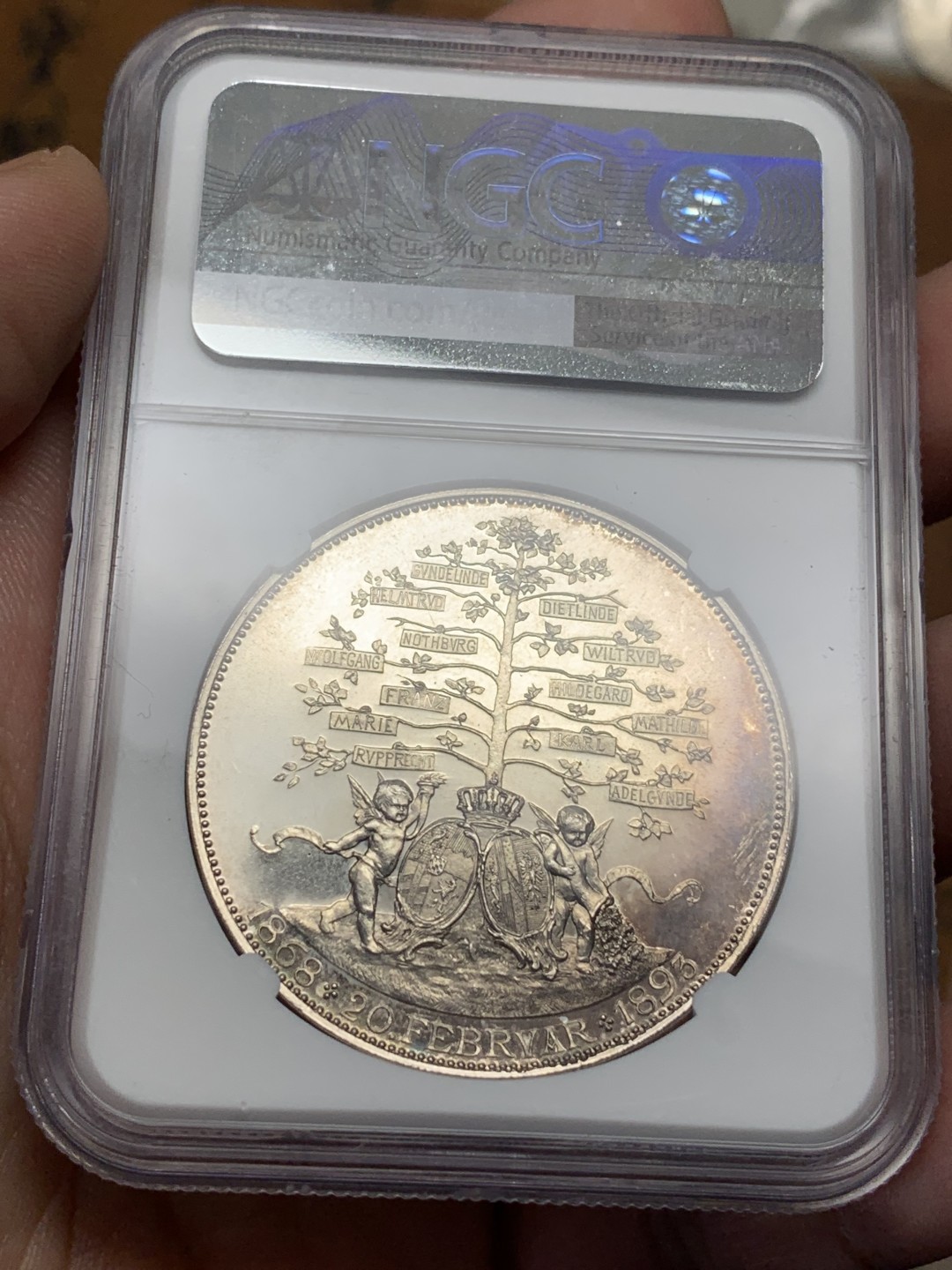 《竞宝斋》第112场-周日，周一 ，2场连拍（全场包邮） NGC-MS61 德国1893年拜仁路德维希家族子孙树 大规格银章 镜面工艺严重压分