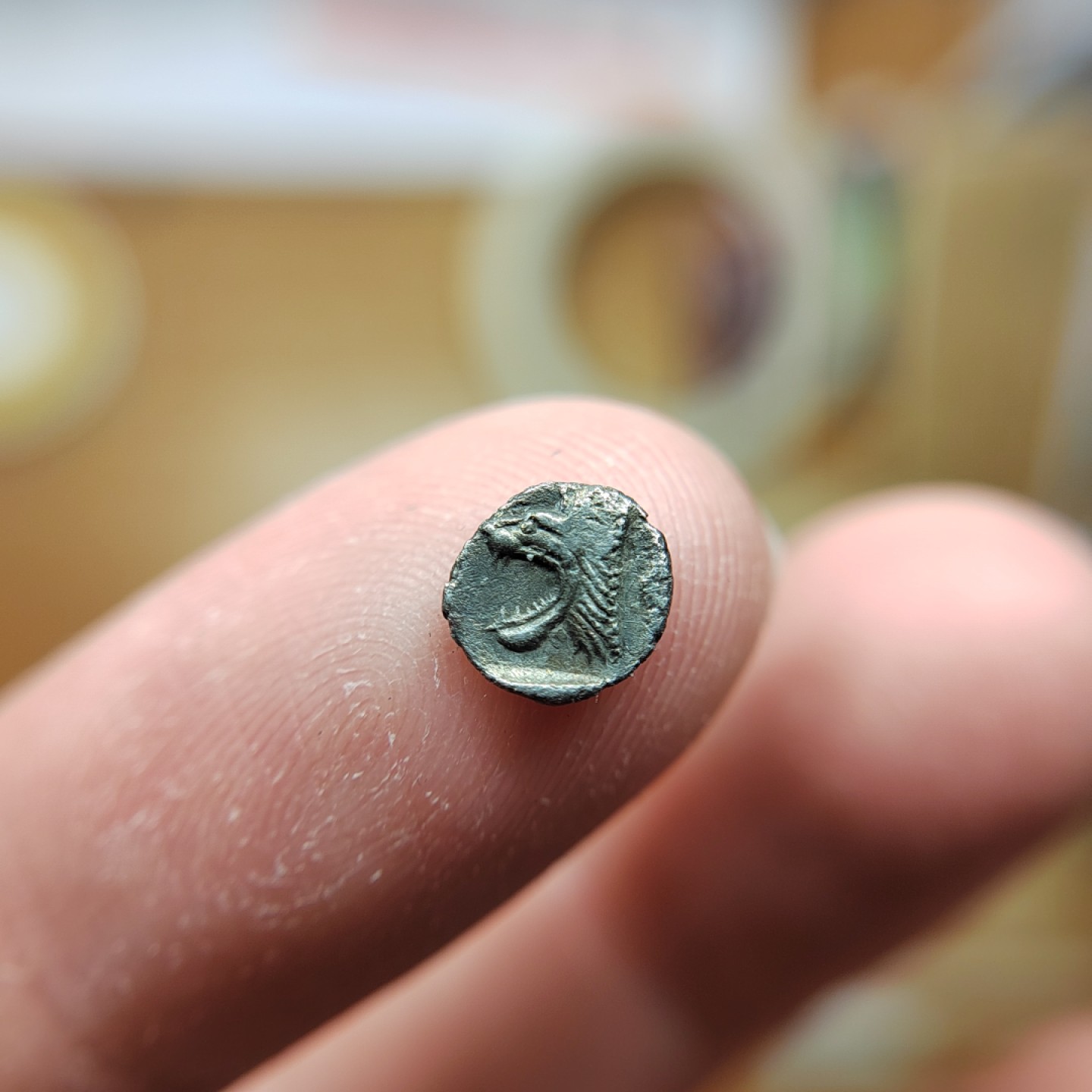 王之爱好～外国钱币 古希腊咆哮狮子银币