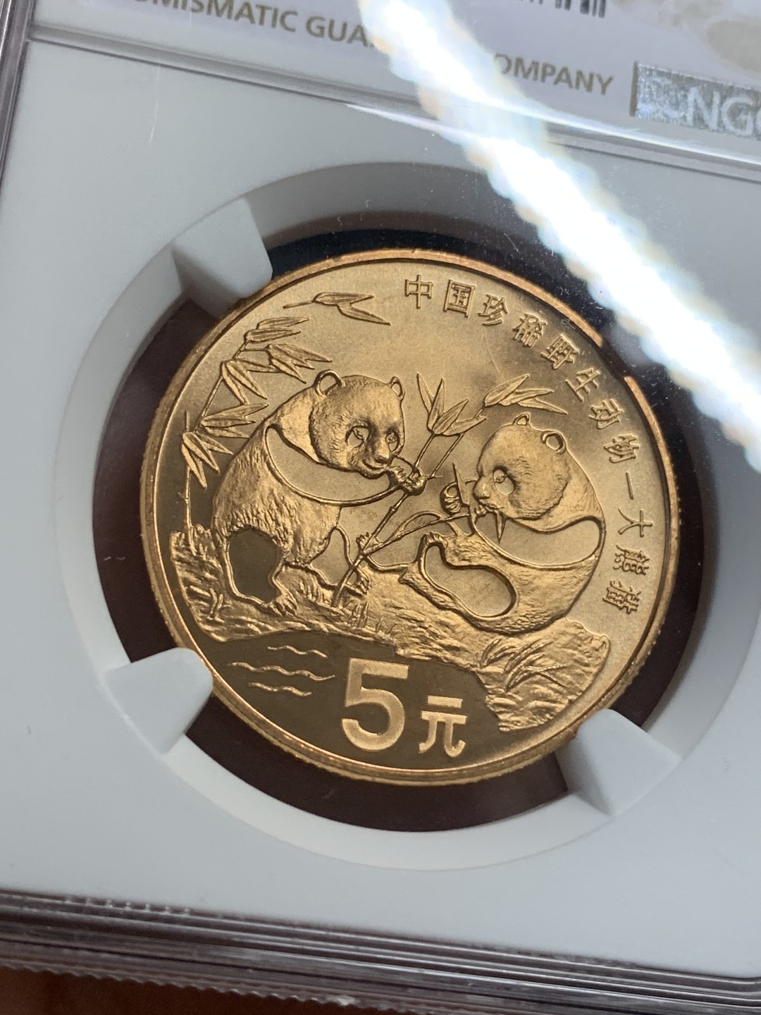 《竞宝斋》第112场-周日，周一 ，2场连拍（全场包邮） NGC-MS67RD  中国   1993   5元  熊猫纪念币