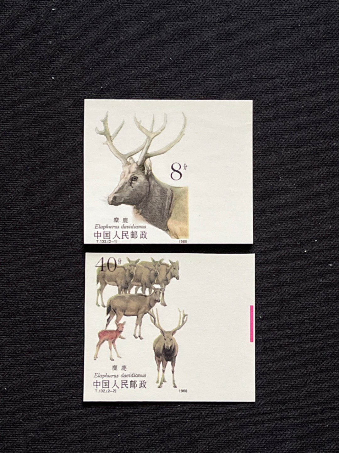 洪涛臻品 精选邮票限时拍卖第七十期 T132麋鹿新全 全品