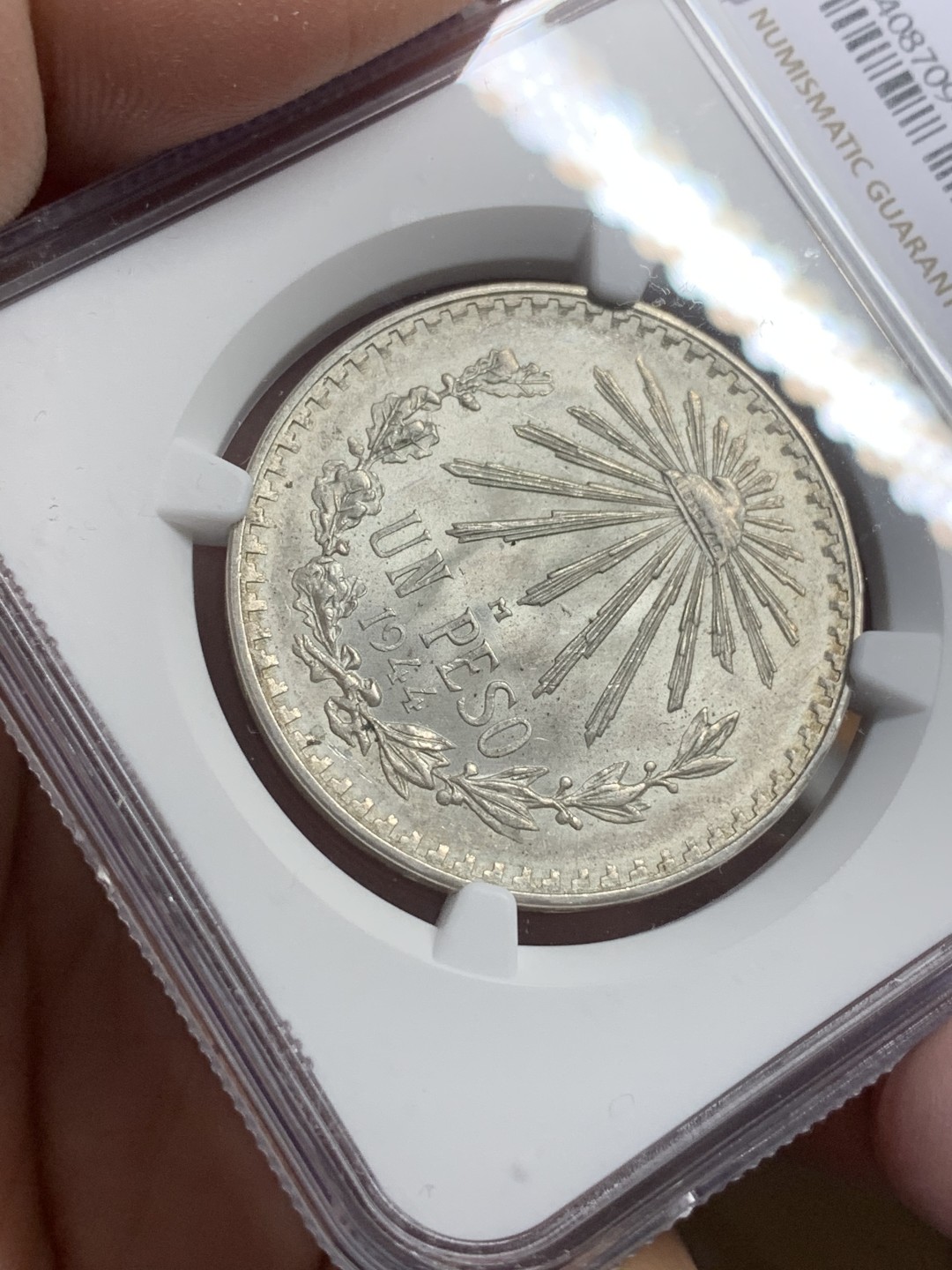 《竞宝斋》第112场-周日，周一 ，2场连拍（全场包邮） NGC-MS66 墨西哥1944年 小鹰洋1比索 这分数都不多说了