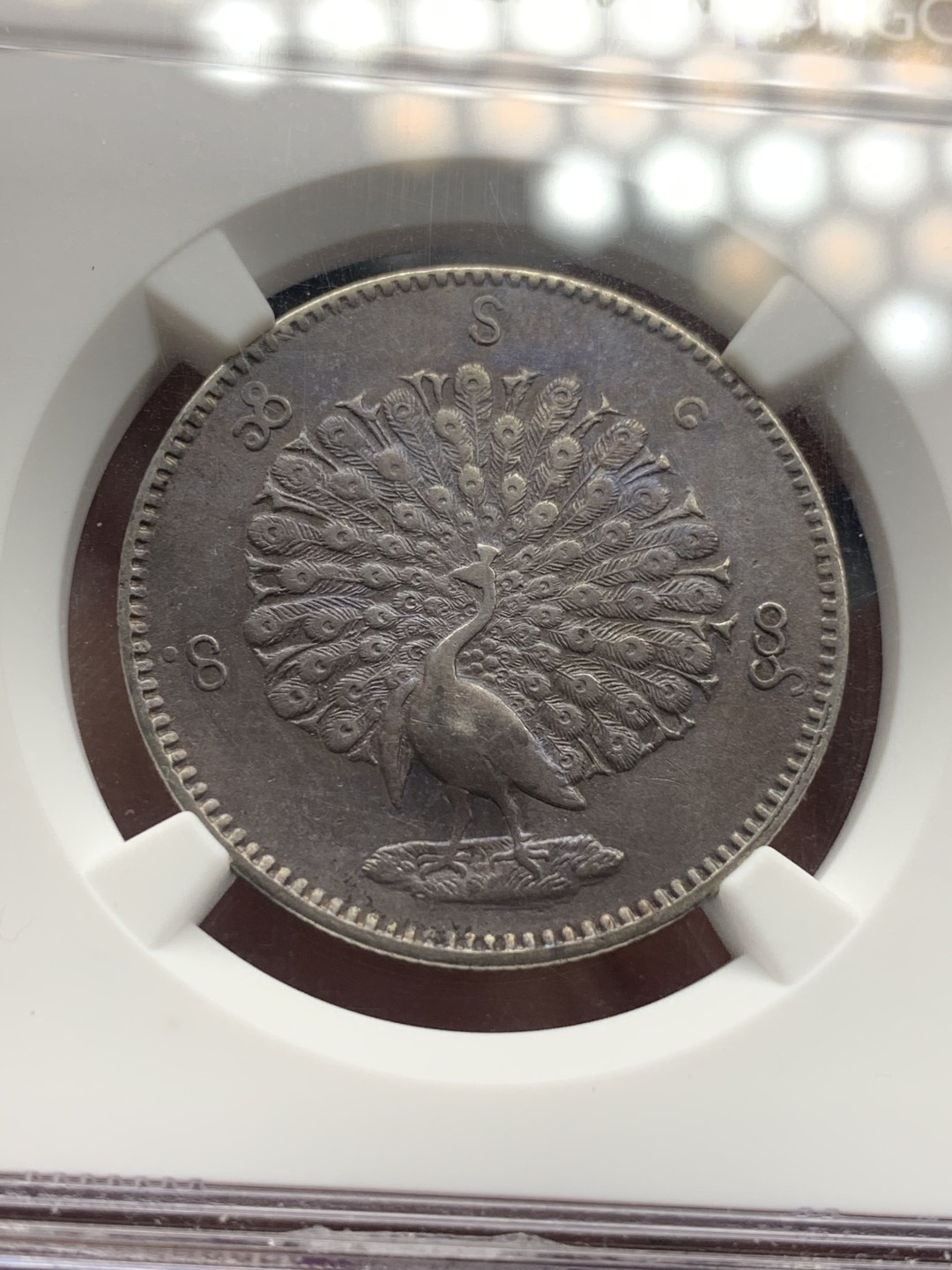 《竞宝斋》第112场-周日，周一 ，2场连拍（全场包邮） NGC-AU50 缅甸1852年孔雀Kyat 银币 酱黑彩 给分真的不易