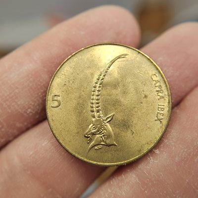 王之爱好～外国钱币 - 1993年，5元，斯洛文尼亚铜币